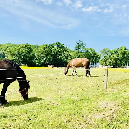 מלון Sure By Western Jerome - Le Havre